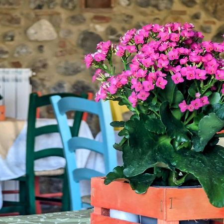 La Quinta Decima Bioagriturismo Fattoria Spedaletto Luaran gambar