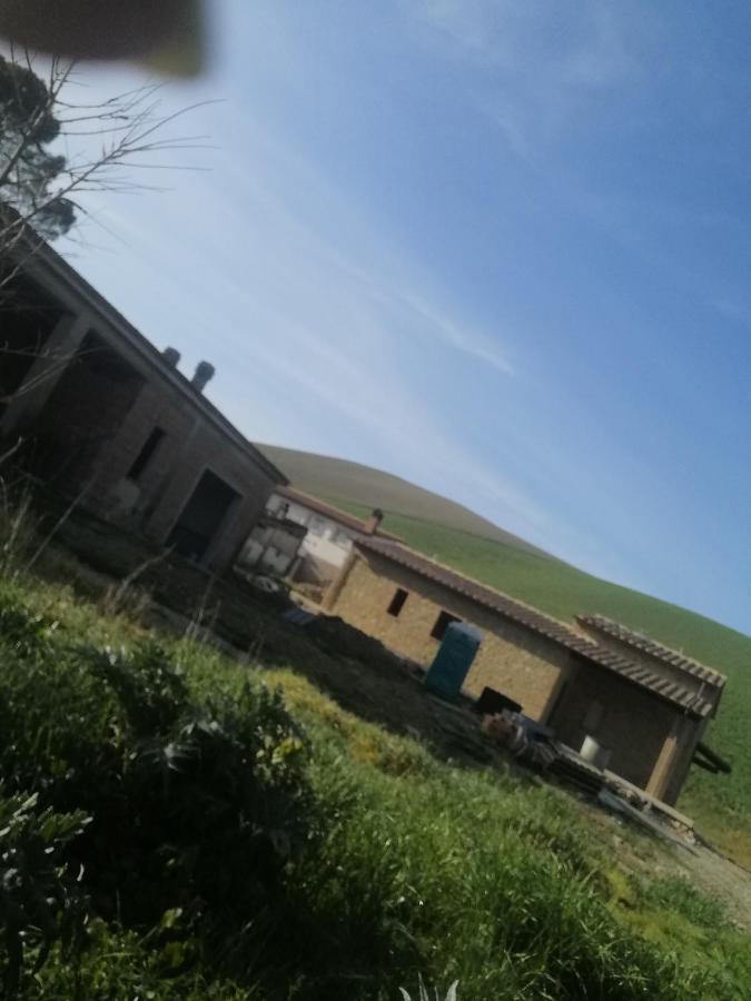 La Quinta Decima Bioagriturismo Fattoria Spedaletto Luaran gambar